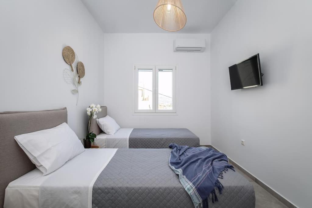 Naxian Sun Apartment Naxos City Extérieur photo